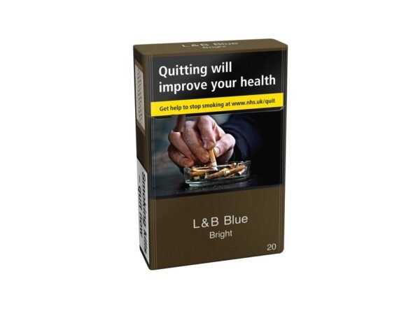 L&B BLUE BRIGHT AIR FILTER KS 20S